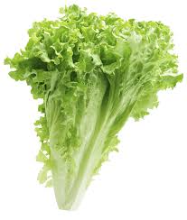 Green Lettuce (100g)