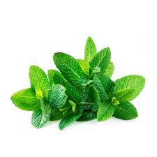 Mint Leaves (Pudina)100g