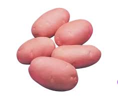 Red Potato (Aloo) 1kg